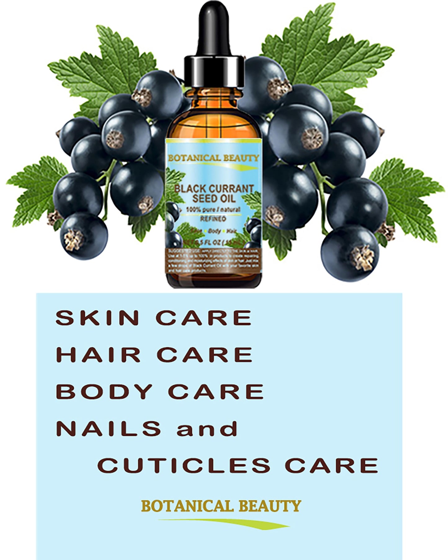 Botanical Beauty BLACK CURRANT SEED OIL 100% Pure Natural Undiluted Refined Cold Pressed Carrier Oil for Skin, Hair, Lip and Nail Care (2 Fl Oz) Beauty & Personal Care Botanical Beauty