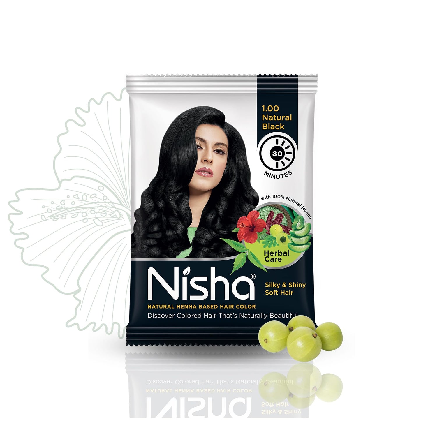 Nisha Natural Henna Based Hair Color (Natural Black) 10GM Pack of 10 Beauty & Personal Care Nisha