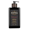 Mistral Bourbon Vanilla Liquid Hand Soap for Men | Luxury Moisturizing Handsoap with Organic Olive Oil, Glycerin and Coconut Oil | Rich Lather | Beauty & Personal Care Mistral