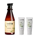 Codi N Codi Jasmine Hand and Body Lotion 25 fl. oz. / 750ml (1 Bottle + 2 Tubes) Beauty & Personal Care Codi N Codi