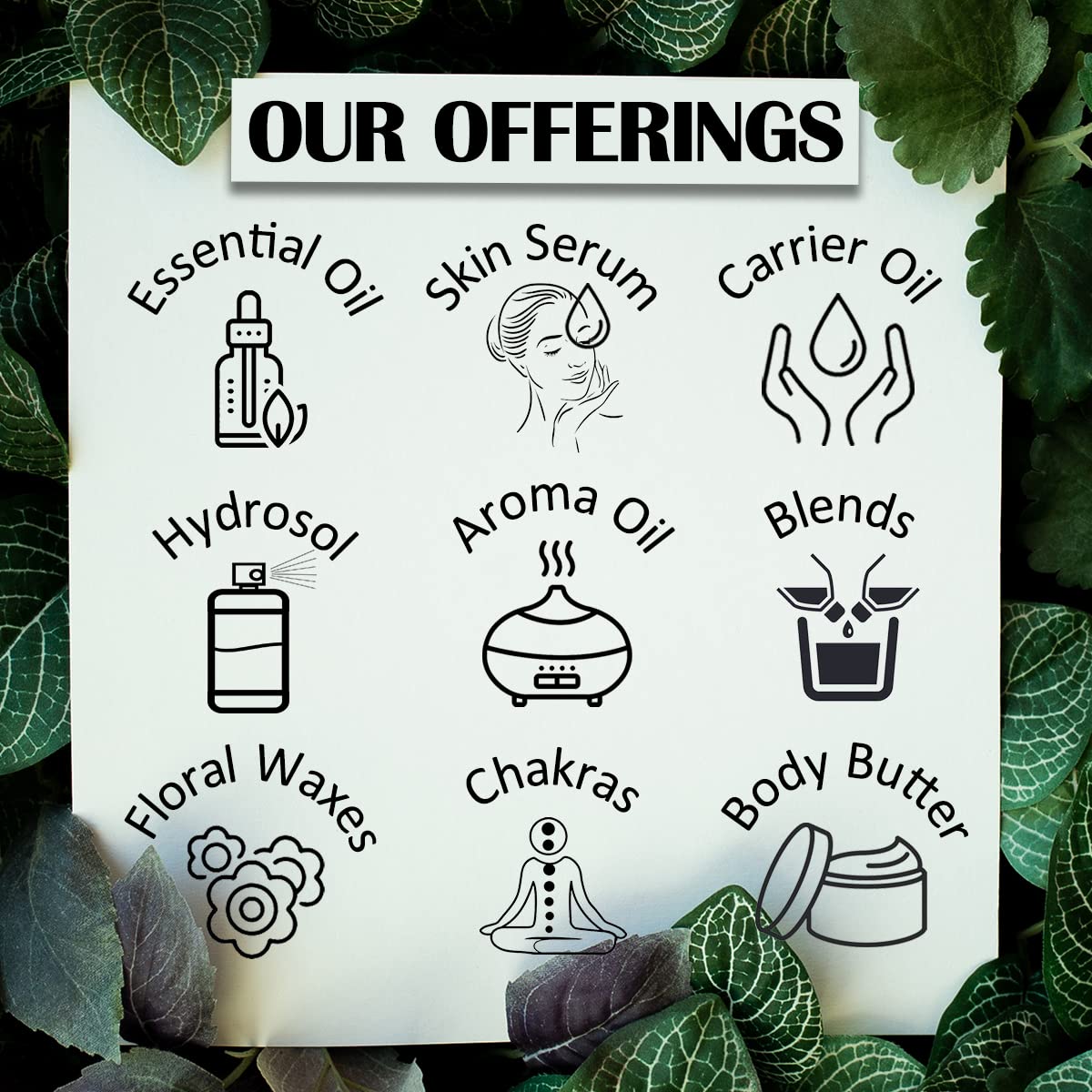 dève herbes Ginger Essential Oil (Zingiber officinale) Pure - Non-Sticky - Non-Greasy - Lightweight - Men & Women - All Skin Types - Steam Distilled Beauty and Personal Care dève herbes