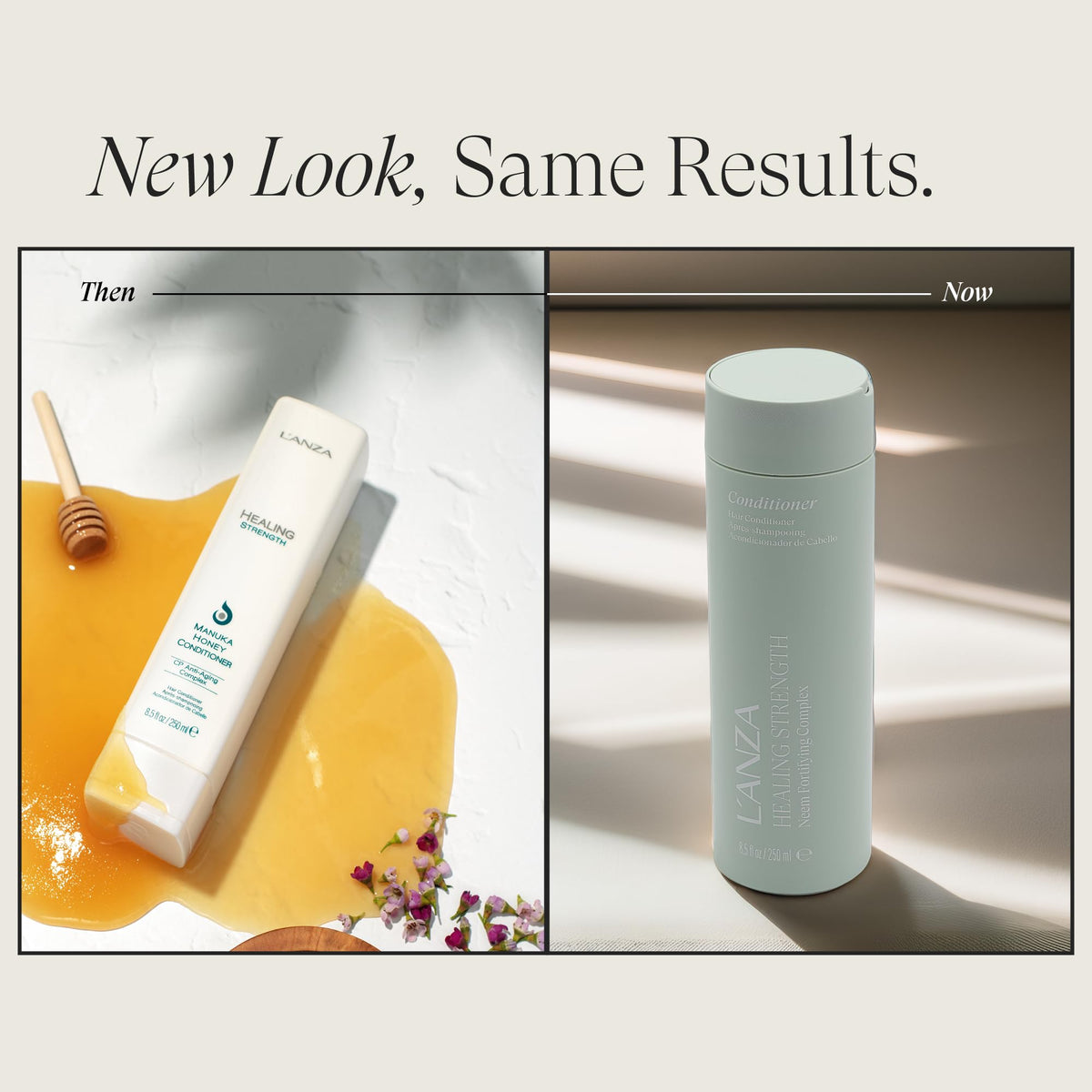 L’ANZA Healing Strength Manuka Honey Conditioner - Strengthens, Protects and Restores Weak, Fragile, and Aged Hair, Rich with Keratin Protein, Healing Beauty & Personal Care L’ANZA
