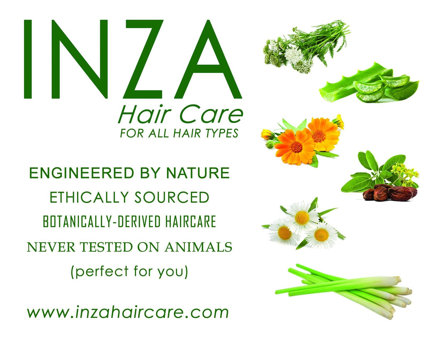 Inza Complete Hair Care Solutions Set Beauty & Personal Care Inza Hair Care