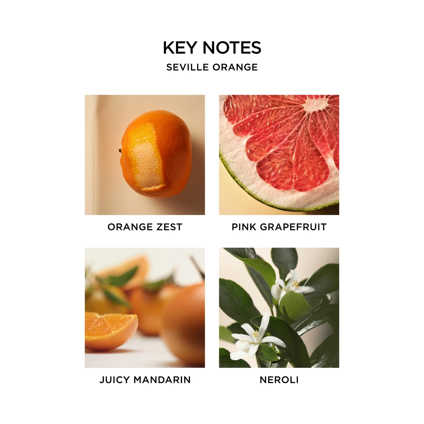 NEST New York Seville Orange Perfume Oil (Rollerball) - 6 mL Beauty & Personal Care NEST New York