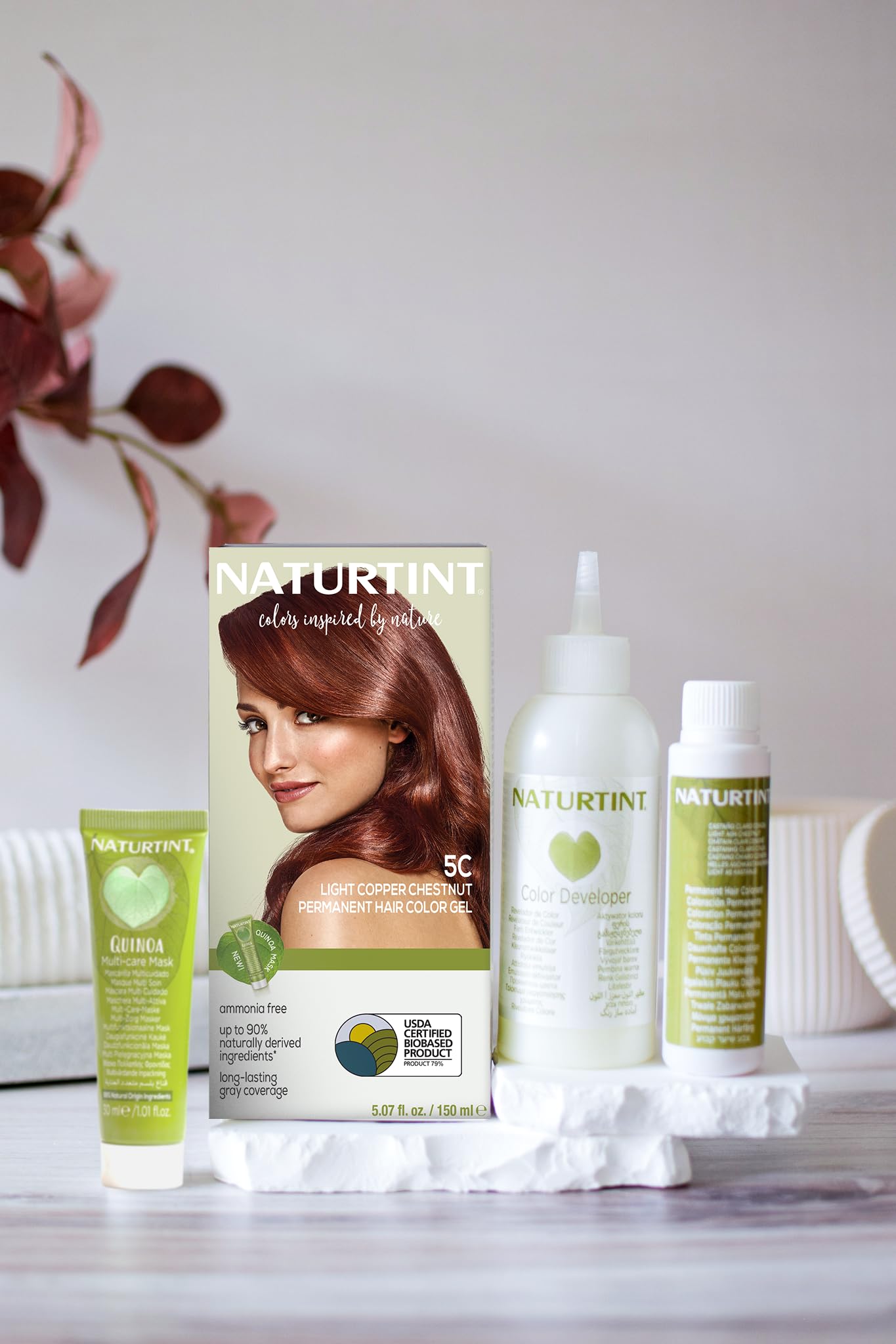 Naturtint Hr Clr 5c Lt Copper Chstnt Beauty & Personal Care Naturtint