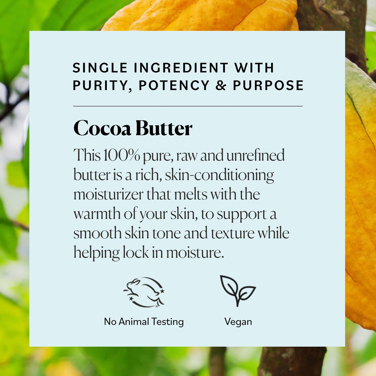 Sky Organics Raw Cocoa Butter for Body (16 oz) 100% Pure & Unrefined Solid Butter - Deeply Hydrates & Conditions Very Dry Skin - Promotes Smooth Tone Beauty & Personal Care Sky Organics