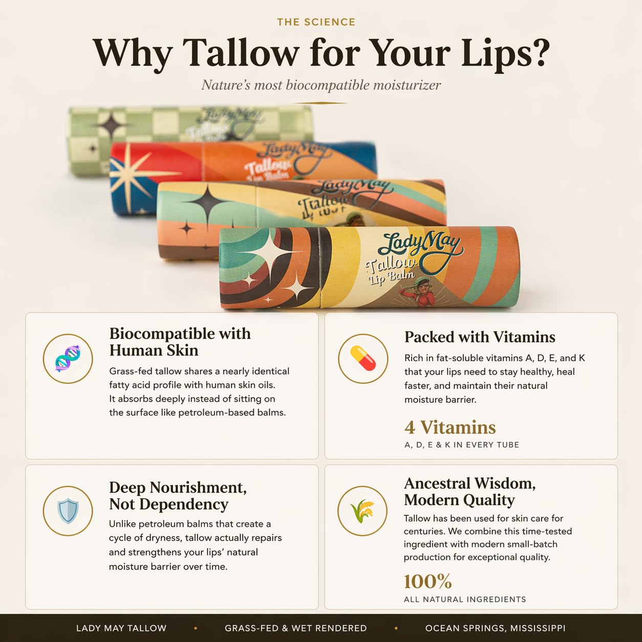 Lip Balm Stocking Stuffer - 5 Natural Flavors - Handcrafted with Beeswax & Jojoba Oil Beauty and Personal Care Lady May Tallow