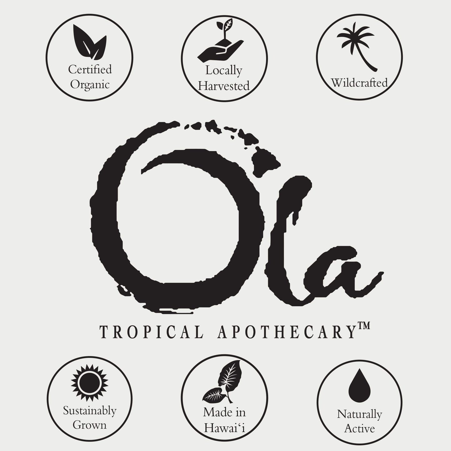 OLA TROPICAL APOTHECARY Coconut Body Wash with Pure Tropical Oils and Plant Extracts - 8 fl oz Beauty & Personal Care Tropical Apothecary