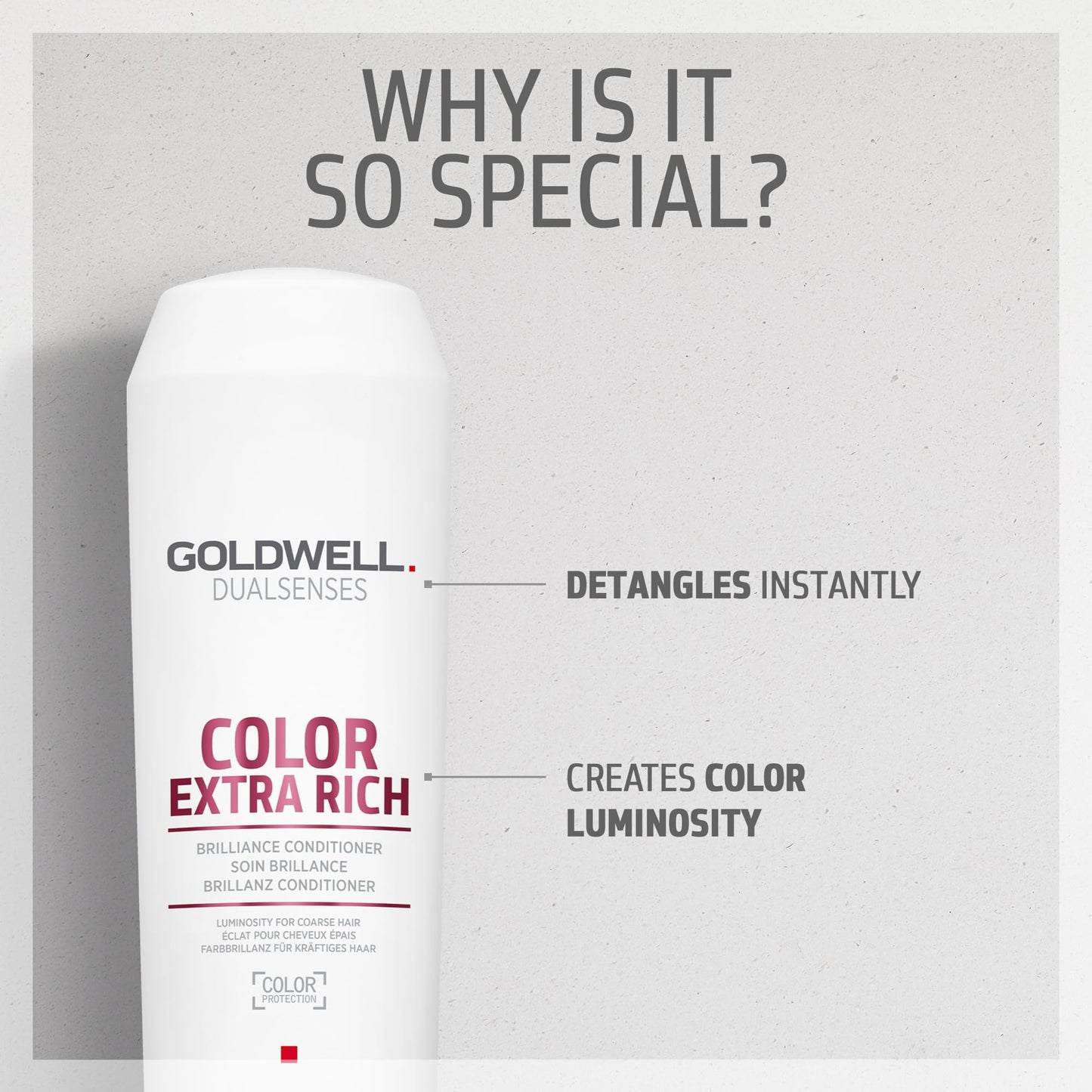 Goldwell Dualsenses Color Extra Rich Brilliance Conditioner, 10.1 Fl Oz (Pack of 1) Beauty & Personal Care Goldwell