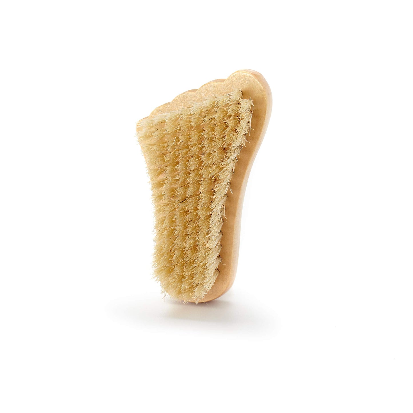 Earth Therapeutics, Brush Foot, 1 Count Beauty and Personal Care Earth Therapeutics