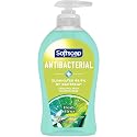 Softsoap Antibacterial Liquid Hand Soap Pump - 11.25 fl. oz. Bottle Beauty & Personal Care Softsoap