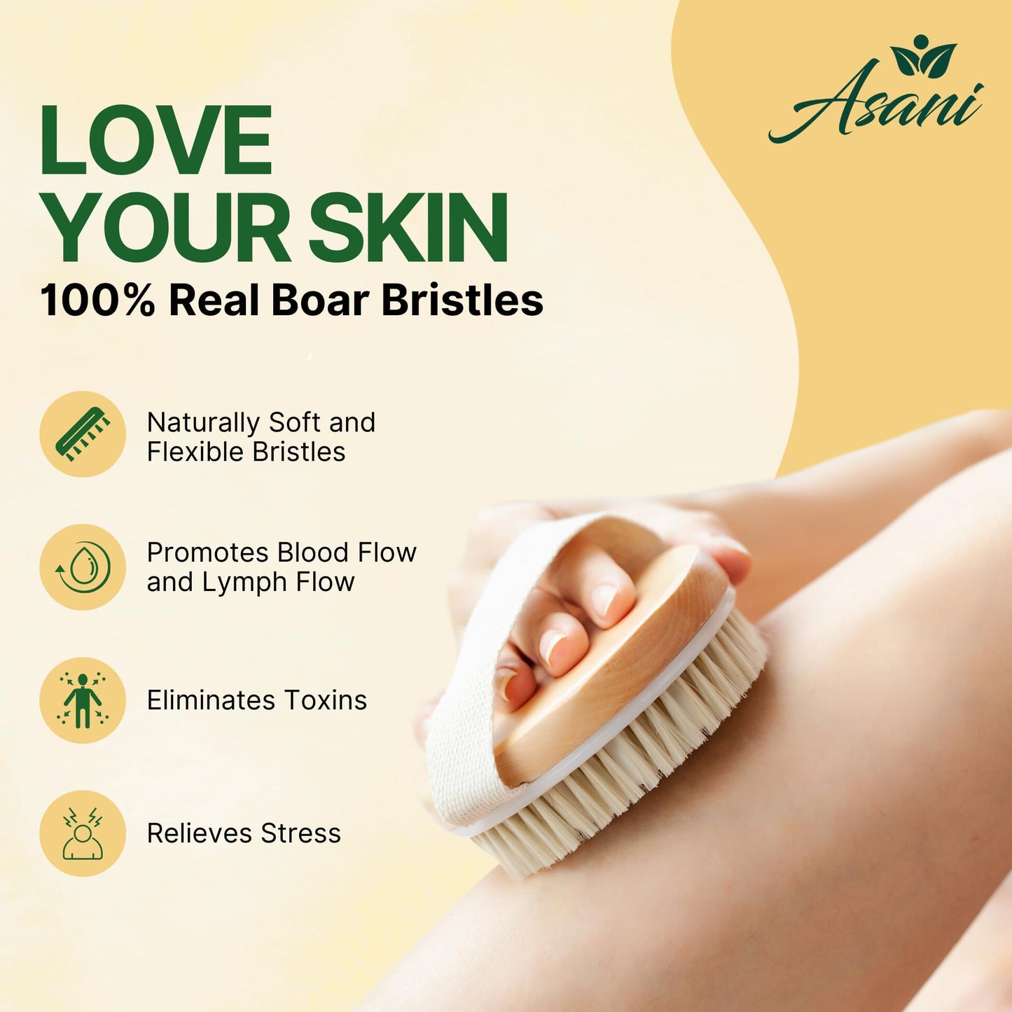 Asani Dry Brushing Body Brush Set for Lymphatic Drainage & Cellulite - 3-Pcs Detachable Back, Contour Body & Face Brushes Organic Gift for Dry Skin Beauty & Personal Care Asani