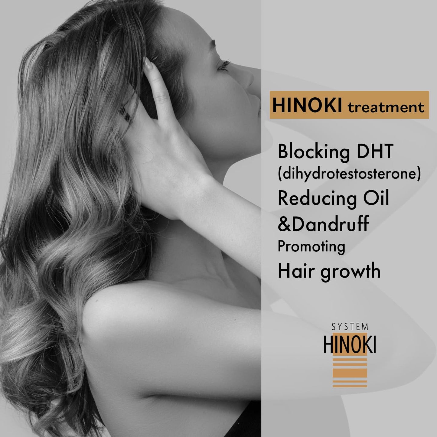 Hayashi System Hinoki Shampoo & Conditioner 10.1oz Duo "Set" Beauty & Personal Care Hayashi