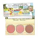 theBalm Girls' Getaway Trio - Highlighting Powder Cheek Palette, Face Sculpting Kit, Fade Resistant Blushes/Bronzers, Balm (Springs, Beach Beauty & Personal Care theBalm