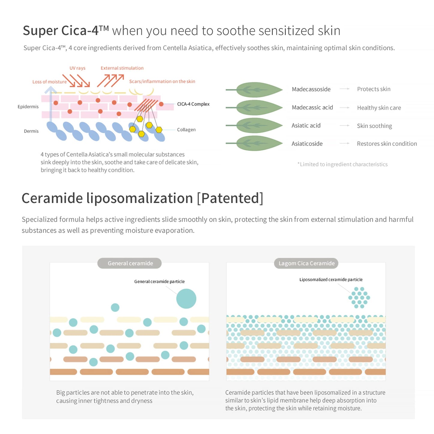 LAGOM Cellus Sensitive Cica Cream Soothing Korean Skincare with Centella and Ceramide, Sensitive Skin, Calming Balm, Face Blemish 2.02 Fl Oz Beauty & Personal Care LAGOM