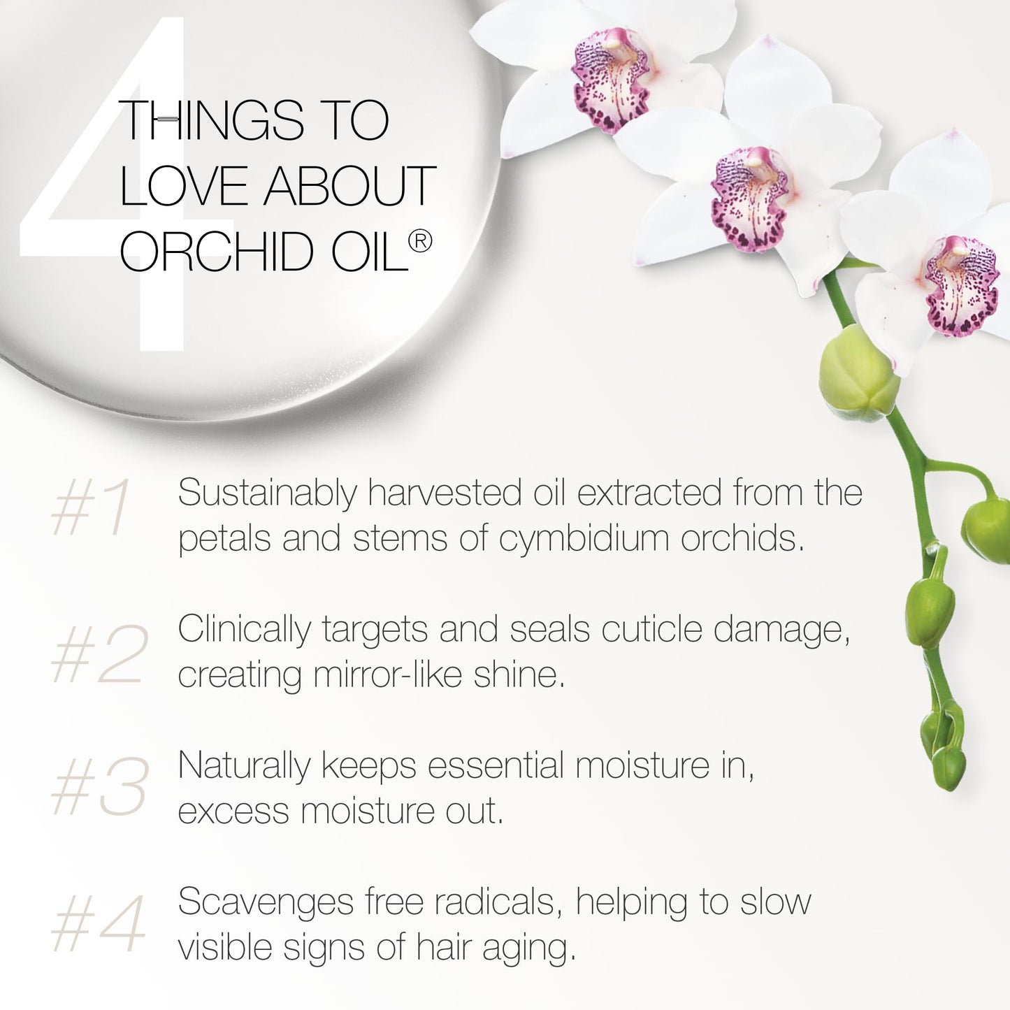 Redavid Orchid Oil Curl Defining Creme with Coconut Oil and Meadowfoam Flower for Curly Hair - Ultra Nourishing Texture Enhancer - Clinically Beauty & Personal Care Redavid