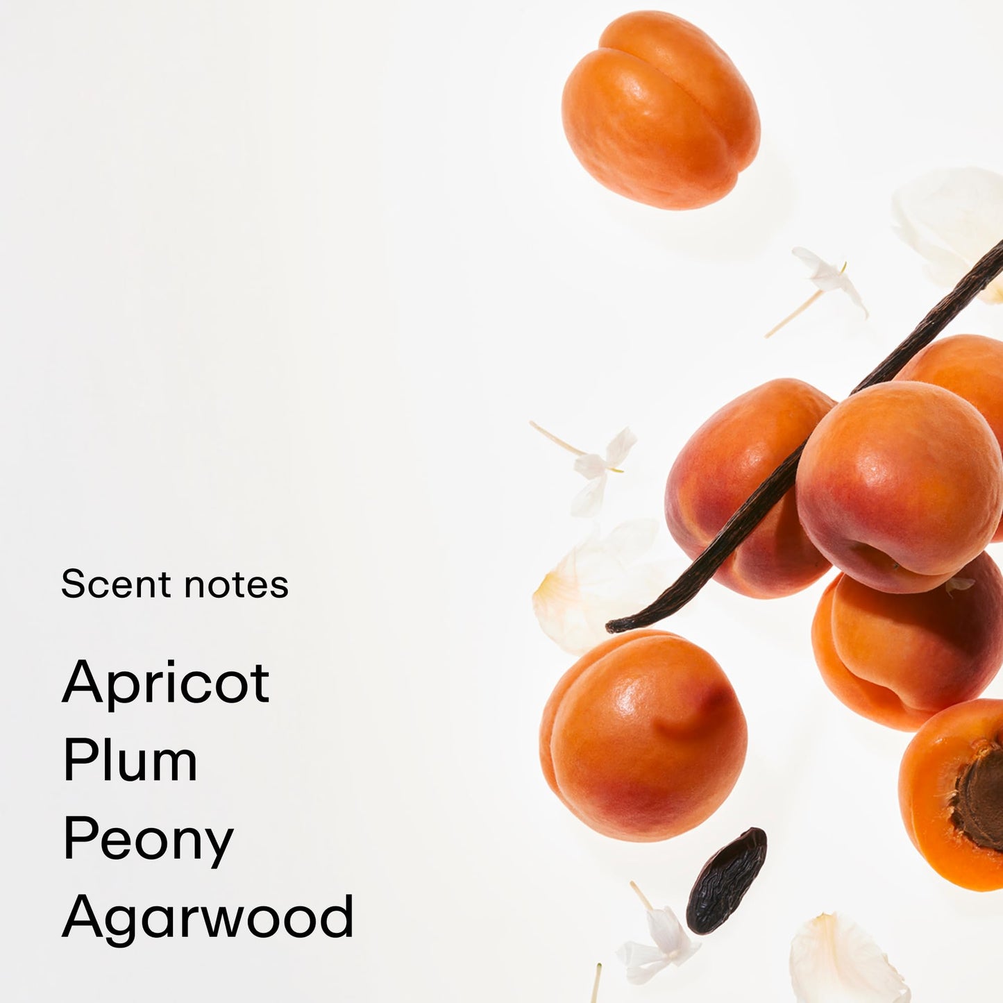 PHLUR Apricot Privée Eau de Parfum - Full Size Perfume Fragrance - Woody & Fruity Perfume with Apricot, Jasmine & Sandalwood (50mL) Beauty & Personal Care PHLUR