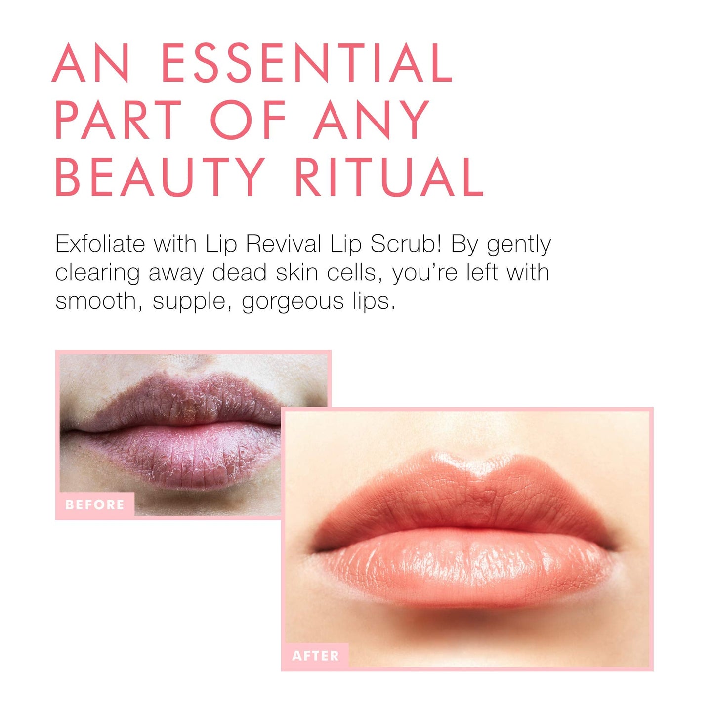 Beauty For Real Lip Revival, Set of 2 - Includes Orange Spice & Spearmint - Exfoliating & Hydrating Sugar Lip Scrub - For Dry, Chapped or Beauty and Personal Care Beauty For Real