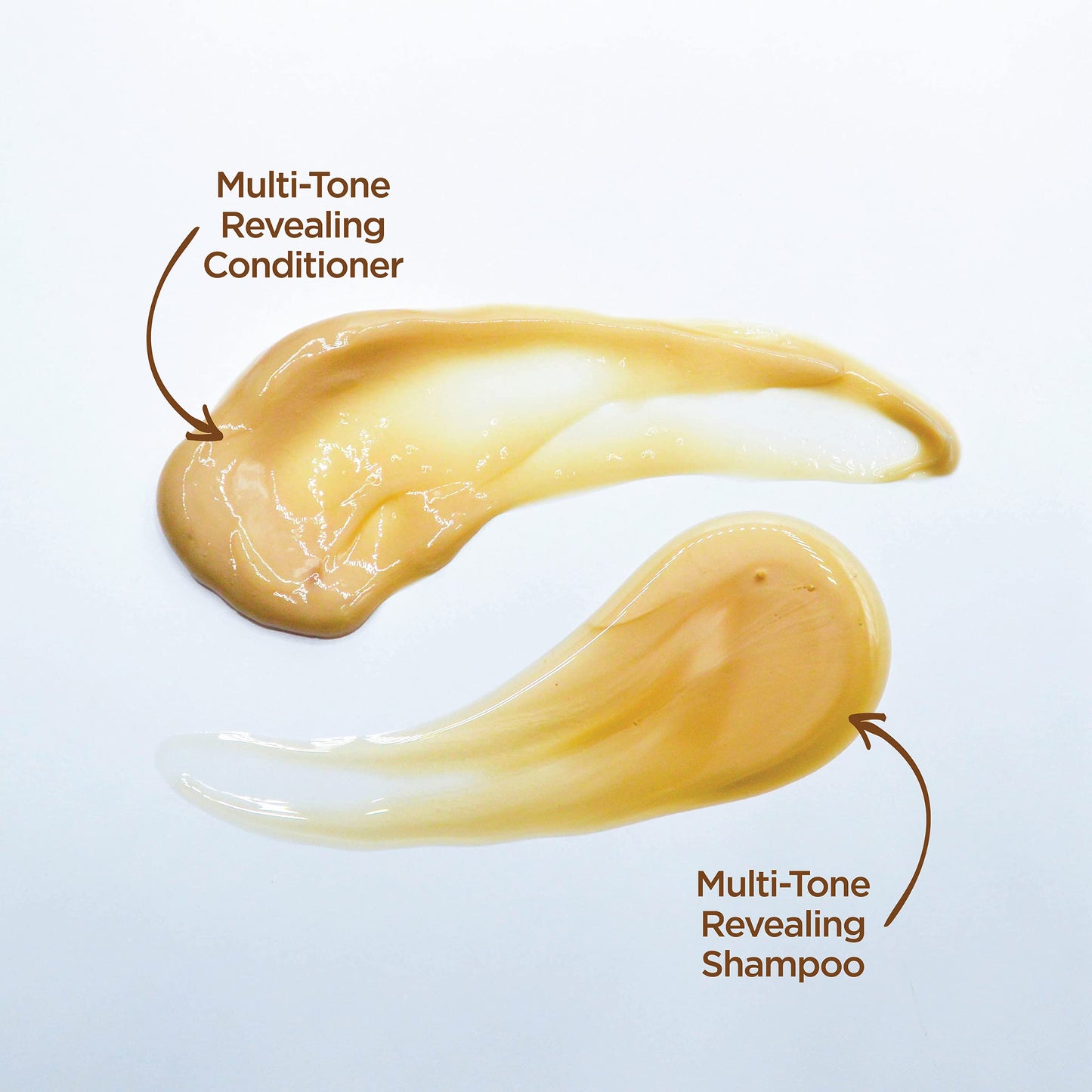 John Frieda Brilliant Brunette, Color Boosting Shampoo, Enhances and Protects Multi-Dimensional Tones, With Sweet Almond Oil to Rehydrate Beauty and Personal Care John Frieda