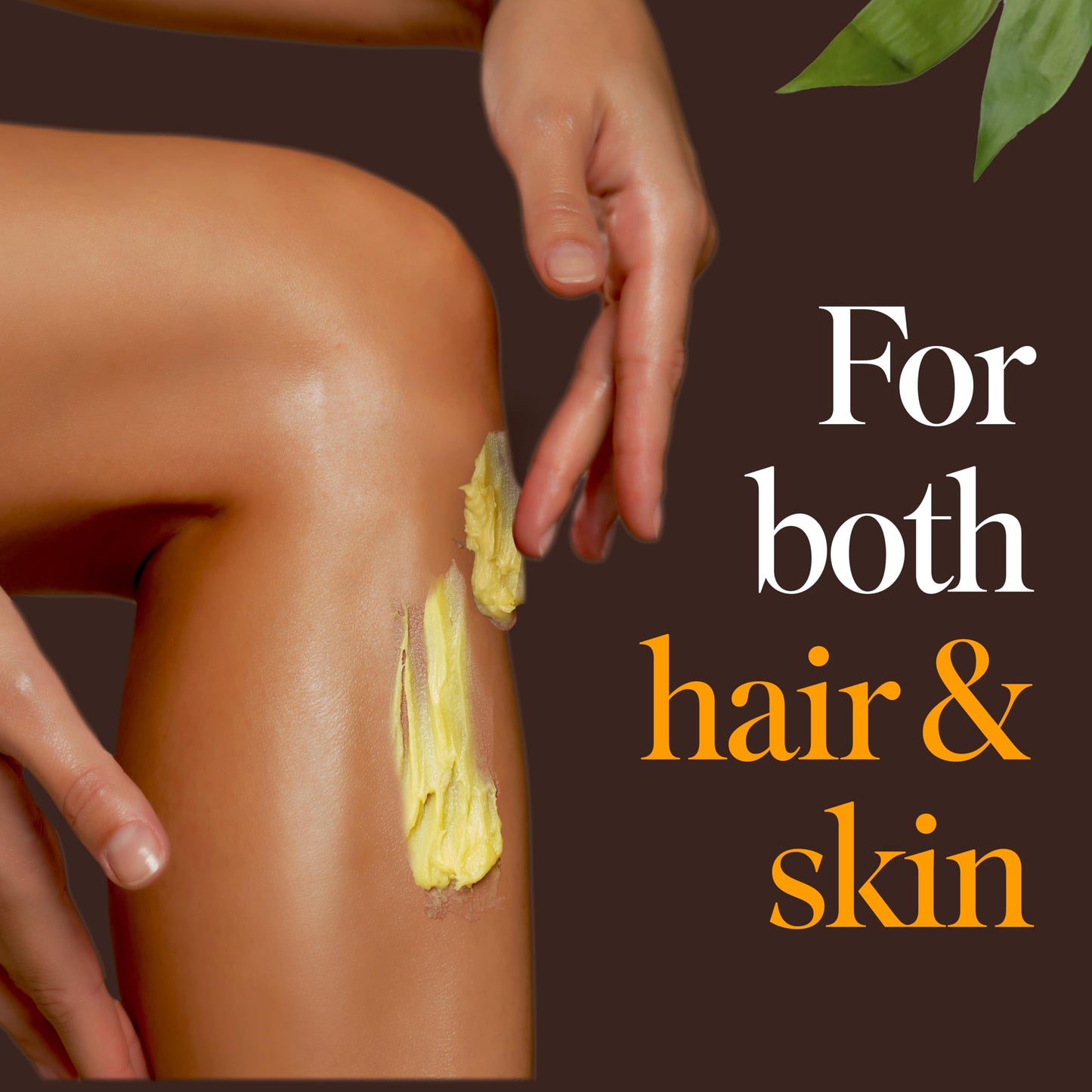 Jamaican Black Castor Oil Coconut Hair Food 4 oz | Seals, Softens, Defines & Promotes Hair Growth | Traditional Handmade Jamaican Black Castor Oil Beauty & Personal Care Tropic Isle Living
