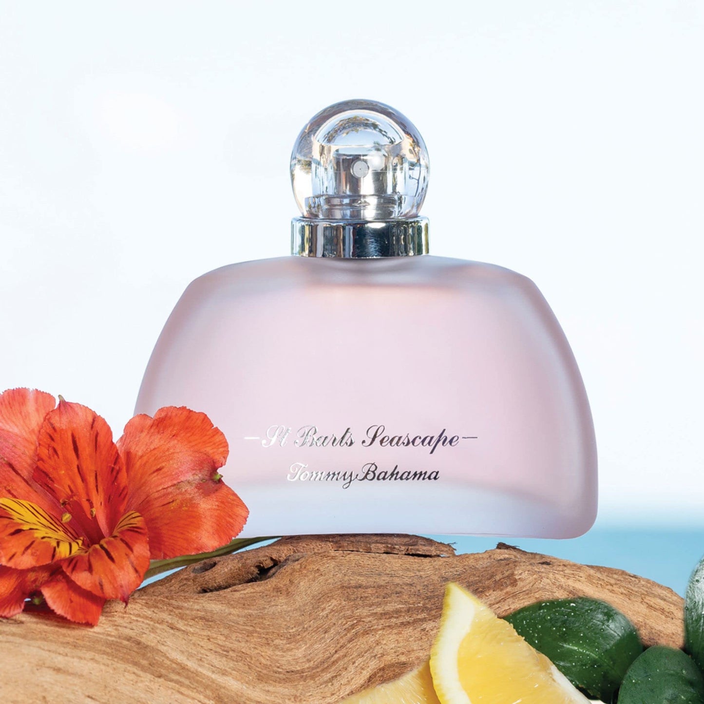 Tommy Bahama Seascape Eau De Parfum for Women Beauty & Personal Care Tommy Bahama