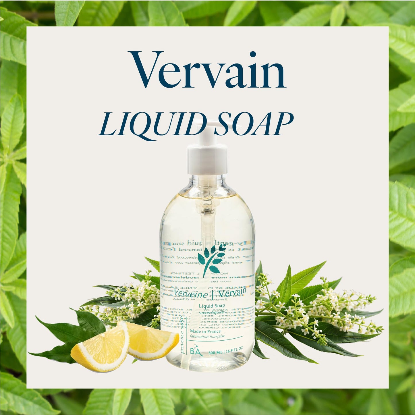 Provence Sante Natural Liquid Soap - Moisturizing Almond Oil Hand Soap with Lemon Vervain Scent - Elegant Pump Dispenser for Kitchen & Bath (16.9 oz) Beauty & Personal Care Provence Sante
