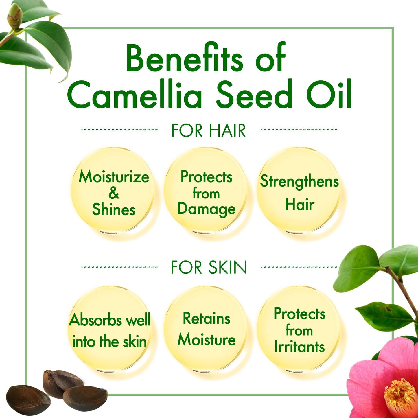 Oshima Tsubaki Camellia seed Oil - English Packaging for US - 100% Pure and Natural, Plant-Based, Single-Ingredient, Moisturizing for Hair, Face Beauty & Personal Care Oshima Tsubaki