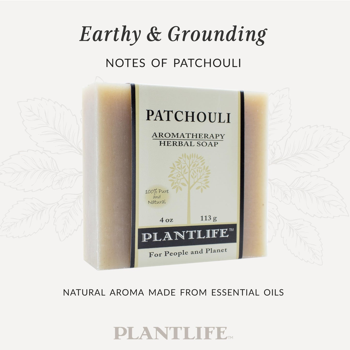 Plantlife Patchouli Bar Soap Pack of 2 - Moisturizing and Soothing Soap for Your Skin - Hand Crafted Using Plant-Based Ingredients - Made in Beauty & Personal Care Plantlife