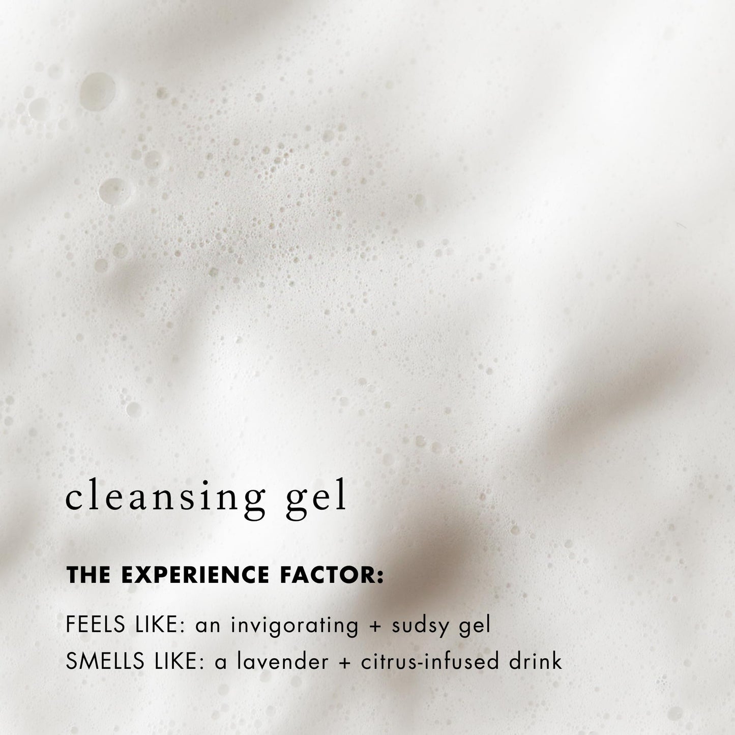 Bioelements Decongestant Cleanser - 6 fl oz - Lathering Gel Cleanser for Oily Skin - Vegan, Gluten Free Beauty & Personal Care Bioelements