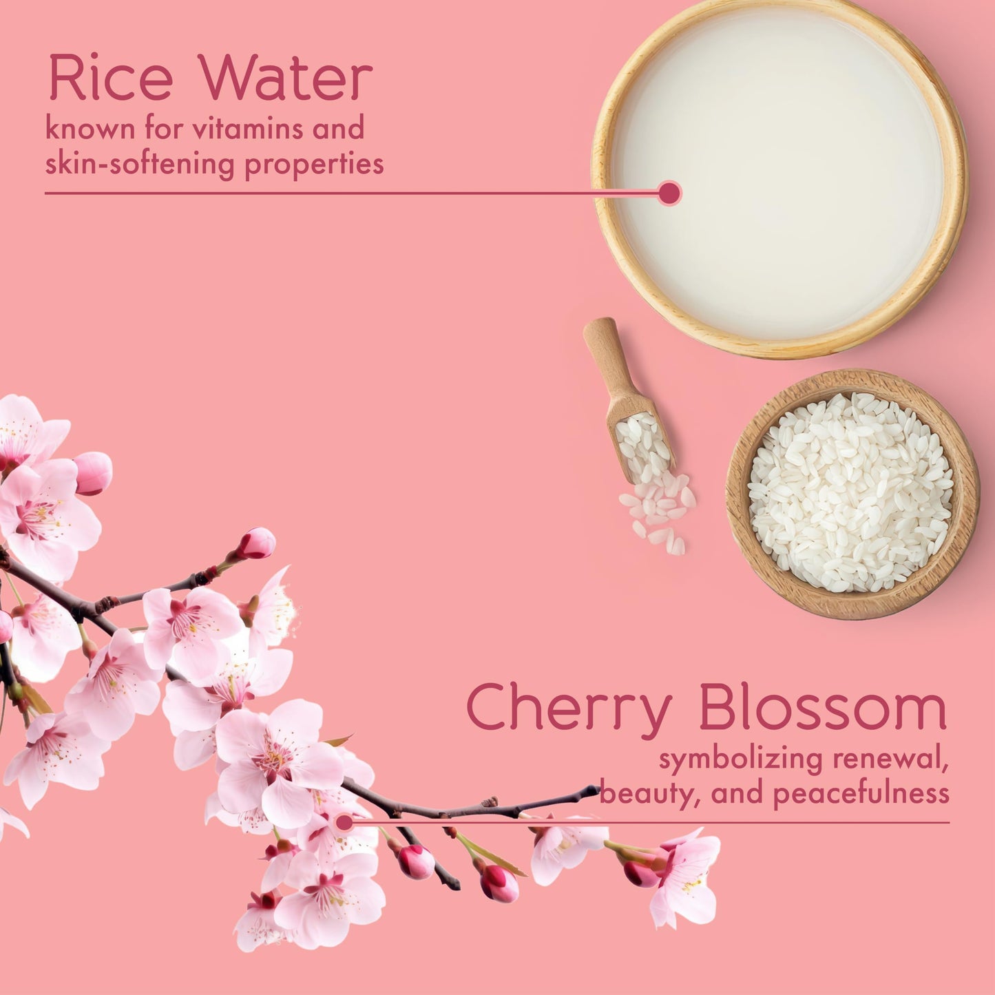 Tesori d’Oriente Ikigai Body Wash & Bubble Bath, 17.5 fl oz, Cherry Blossom Scented, Gentle Hydrating Shower Gel with Rice Water & Vitamin-E, No Beauty & Personal Care Tesori d'Oriente