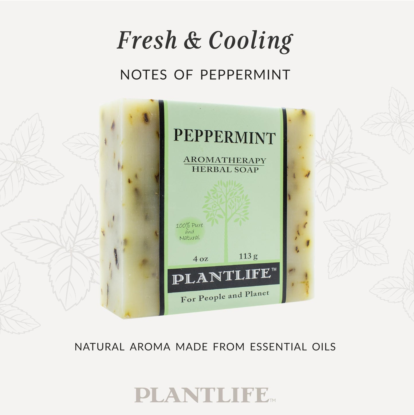 Plantlife Peppermint Bar Soap - Moisturizing and Soothing Soap for Your Skin - Hand Crafted Using Plant-Based Ingredients - Made in California 4oz Bar Beauty & Personal Care Plantlife
