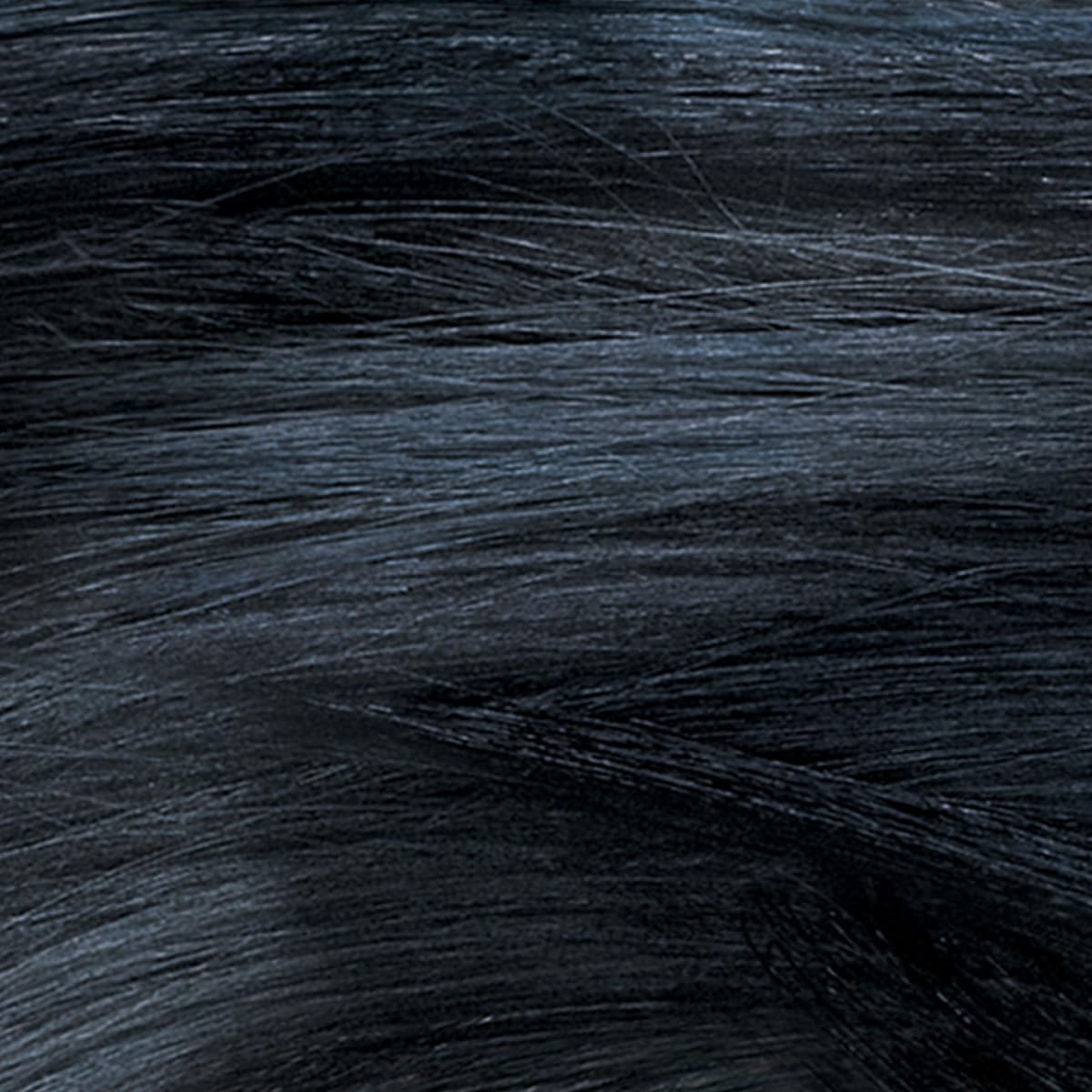COLORSILK # 12 NAT BLUE BLACK Beauty & Personal Care REVLON