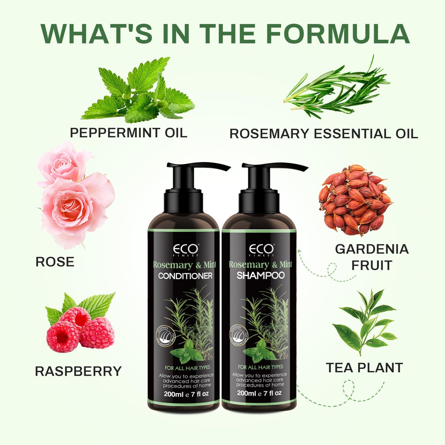 Rosemary Mint Strengthening Shampoo and Conditioner Set, Deep Cleaning & Refreshing Hair,Oil Control,Biotin Infused,Repair Damaged Hair,Revitalize Beauty & Personal Care DR.SEIDO