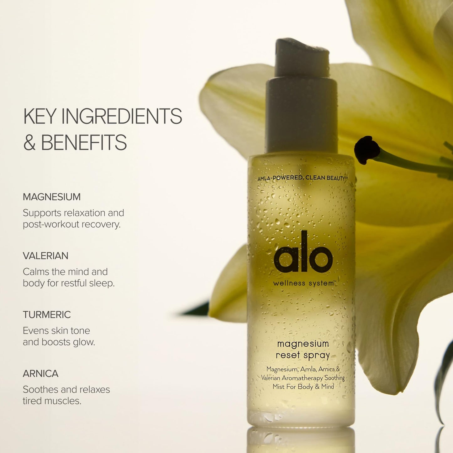 ALO Refresh & Reset Set - Magnesium Reset Spray + Mega-C Body Wash + Superfruit Body Lotion - Gentle for All Skin Types - Vegan & Cruelty-Free - 3.2 + Beauty and Personal Care Alo