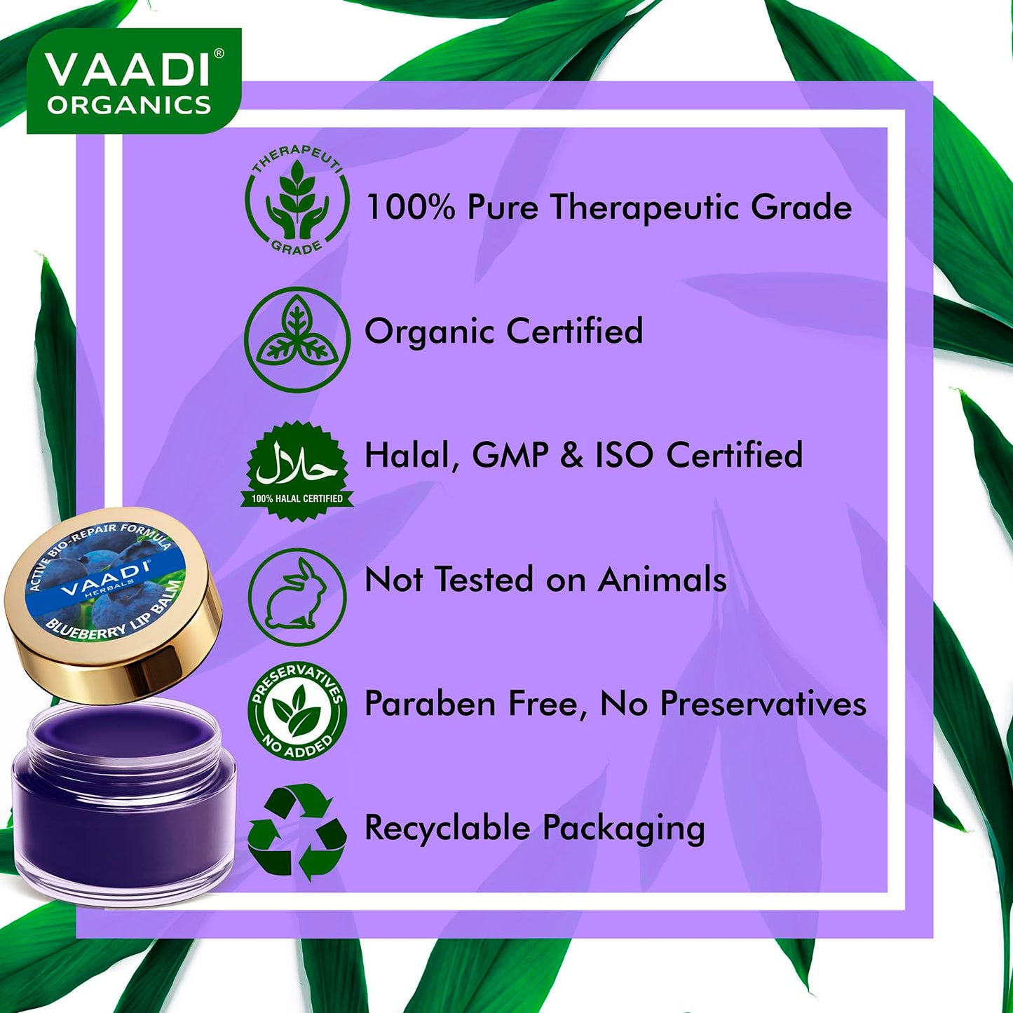 Vaadi Herbals Value Lip Balm, Blueberry, 4 x 10g Beauty and Personal Care Vaadi Herbals