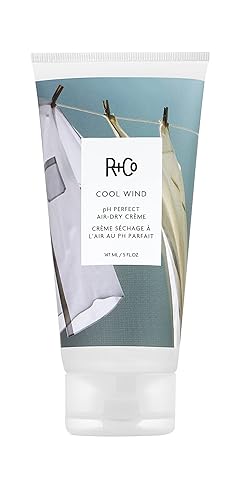 R+Co Cool Wind pH Perfect Air Dry Hair Cream (5 Oz) | Hydrates + Tames + Softens | Vegan + Cruelty-Free | Beauty & Personal Care R+Co