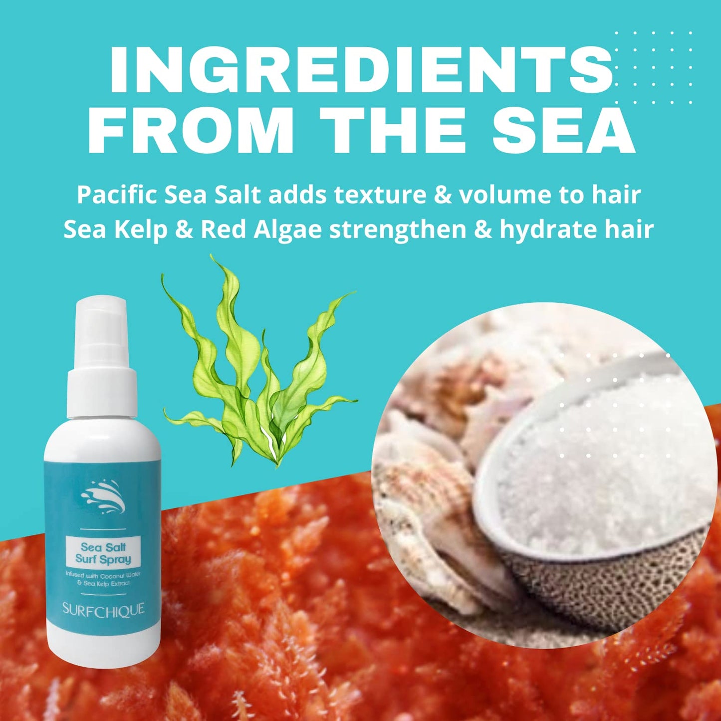 SURFCHIQUE Sea Salt Surf Spray with Coconut Water for Beachy Waves & Texture (8 oz) Beauty & Personal Care SURFCHIQUE