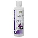 PROVON Ultimate Shampoo and Body Wash, Herbal Scent, 8 fl oz 2 -in -1 Luxurious Hair/Bodywash Squeeze Bottle (Pack of 48) - 4227-48 Beauty & Personal Care Provon