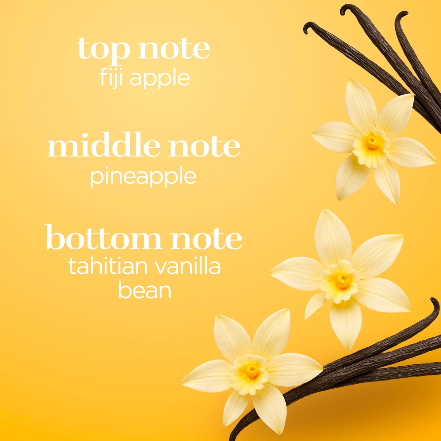 Body Fantasies Fragrance Body Spray, Vanilla, 8 Ounce Beauty & Personal Care Parfums De Coeur