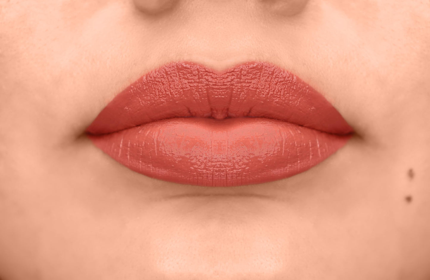 L.A. COLORS Velvet Plush Creamy Lip Color, Cuddly CLC668 Beauty & Personal Care L.A. COLORS