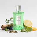 ROMASS Coastal Chill Eau de Parfum 8+hours Unisex Fragrance with Frosted Bergamot, Tidepool Moss & Sun-Bleached Ambergris | 3.4oz/100ml Beauty & Personal Care ROMASS