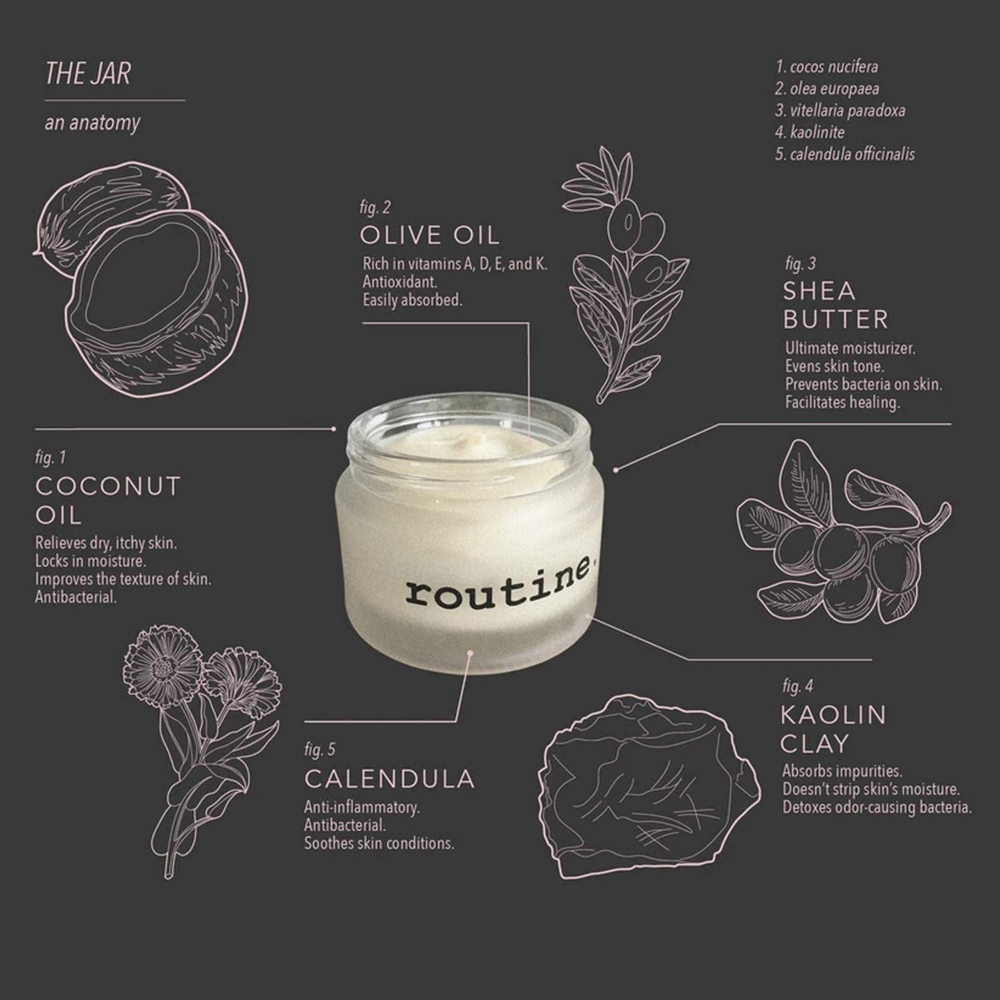 Routine. Deodorant Johnny's Cash (Vegan: No Beeswax) Deo Jar - 2 Fluid Oz., Extra Sensitive Skin Formula - Aluminum Free Natural Deodorant For Women Beauty and Personal Care Routine
