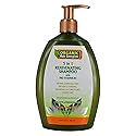 Organic Hair Energizer 5 In 1 Rejuvenating Shampoo 13 Oz Beauty & Personal Care Organic Hair Energizer