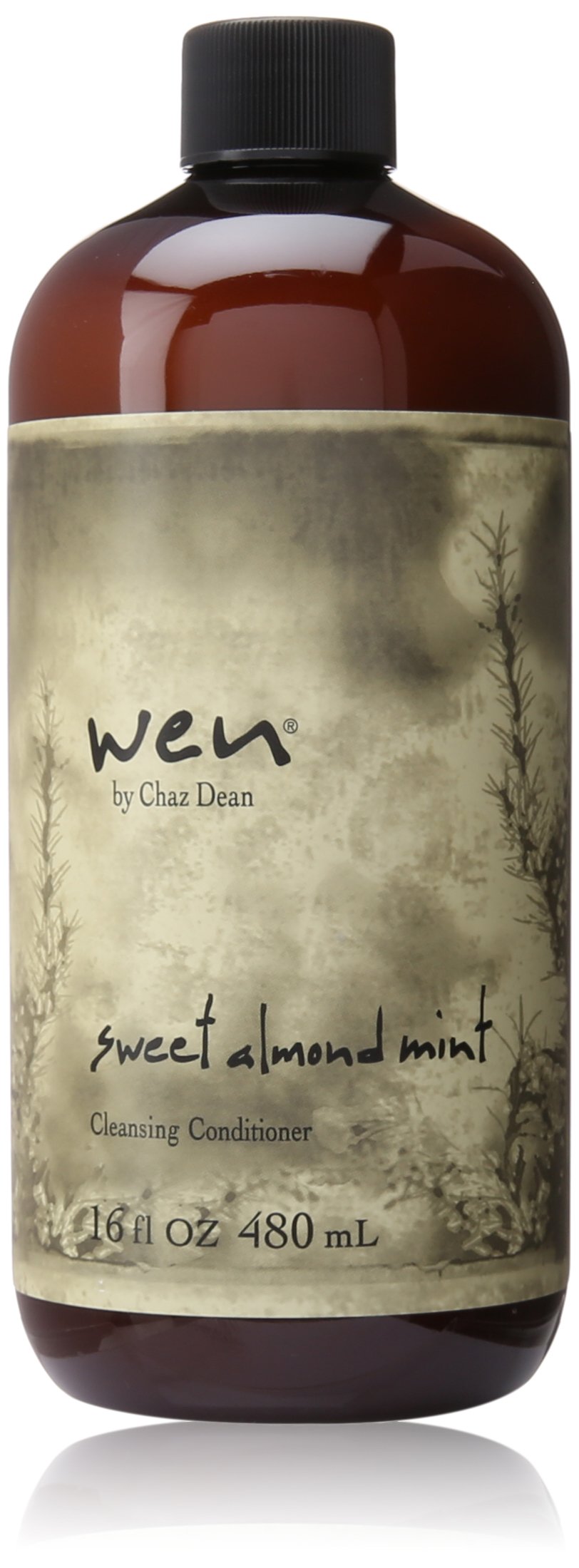 Chaz Dean Wen Cleansing Conditioner, Sweet Almond Mint, 16 Ounce
