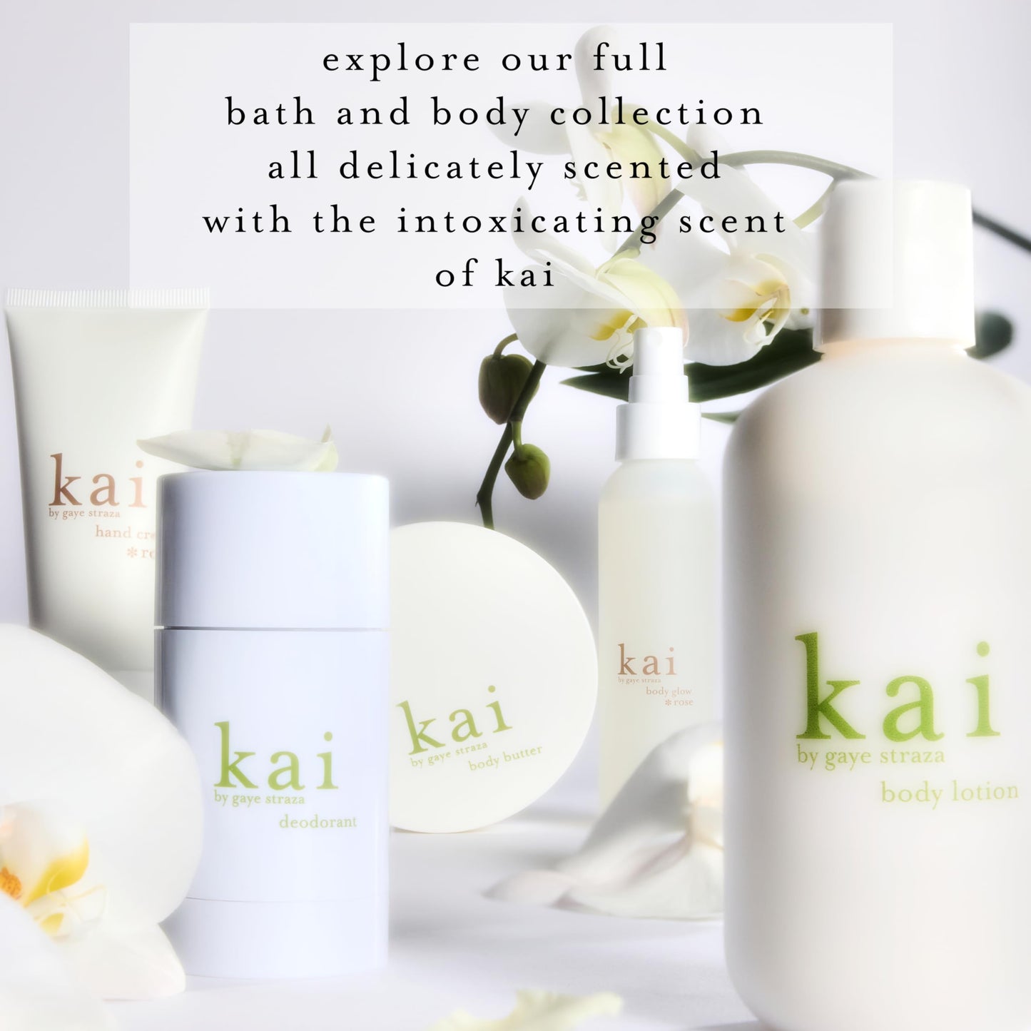 kai body lotion - a nourishing shea butter body lotion scented with fresh & light gardenia wrapped in white exotics, 8 oz | supple, glowing skin Beauty & Personal Care kai