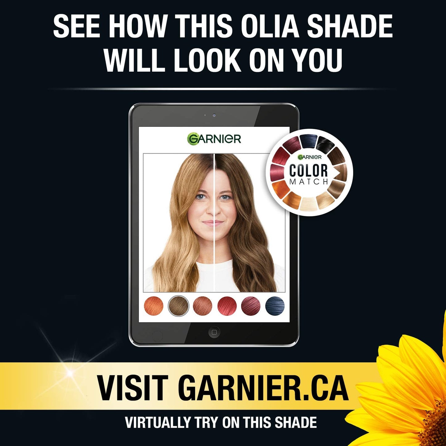 Garnier Olia Oil Powered Permanent Color, Medium Brown [5.0] 1 ea (Pack of 6) Beauty & Personal Care Garnier
