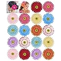 Lawie 18 Pack Fake Artificial Silk Gerbera Daisy Flower Sunflower Daisies Hair Clips Barrettes Clamp Clasps Bow With Alligator Brooch Pin Tropical Beauty & Personal Care Lawie