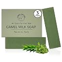CAMEL CULTURE Tulsi and Neem Soap Bar (3 Pack) - Handcrafted, Soothing Camel Milk Soap - Nourishing, Nutrient and Vitamin Rich Men's Body Wash Beauty & Personal Care CAMEL CULTURE