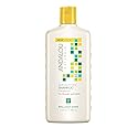 Andalou Naturals Sunflower and Citrus Brilliant Shine Shampoo, 11.5 Ounce Beauty & Personal Care Andalou Naturals