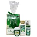 Bath and Body Works VANILLA BEAN NOEL Tree Mini Gift Set 3-pc Travel Size Beauty & Personal Care Bath & Body Works